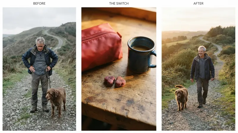 Three-panel before and after: a man resting at the bottom of a hill, chews on the workbench, walking up with the dog